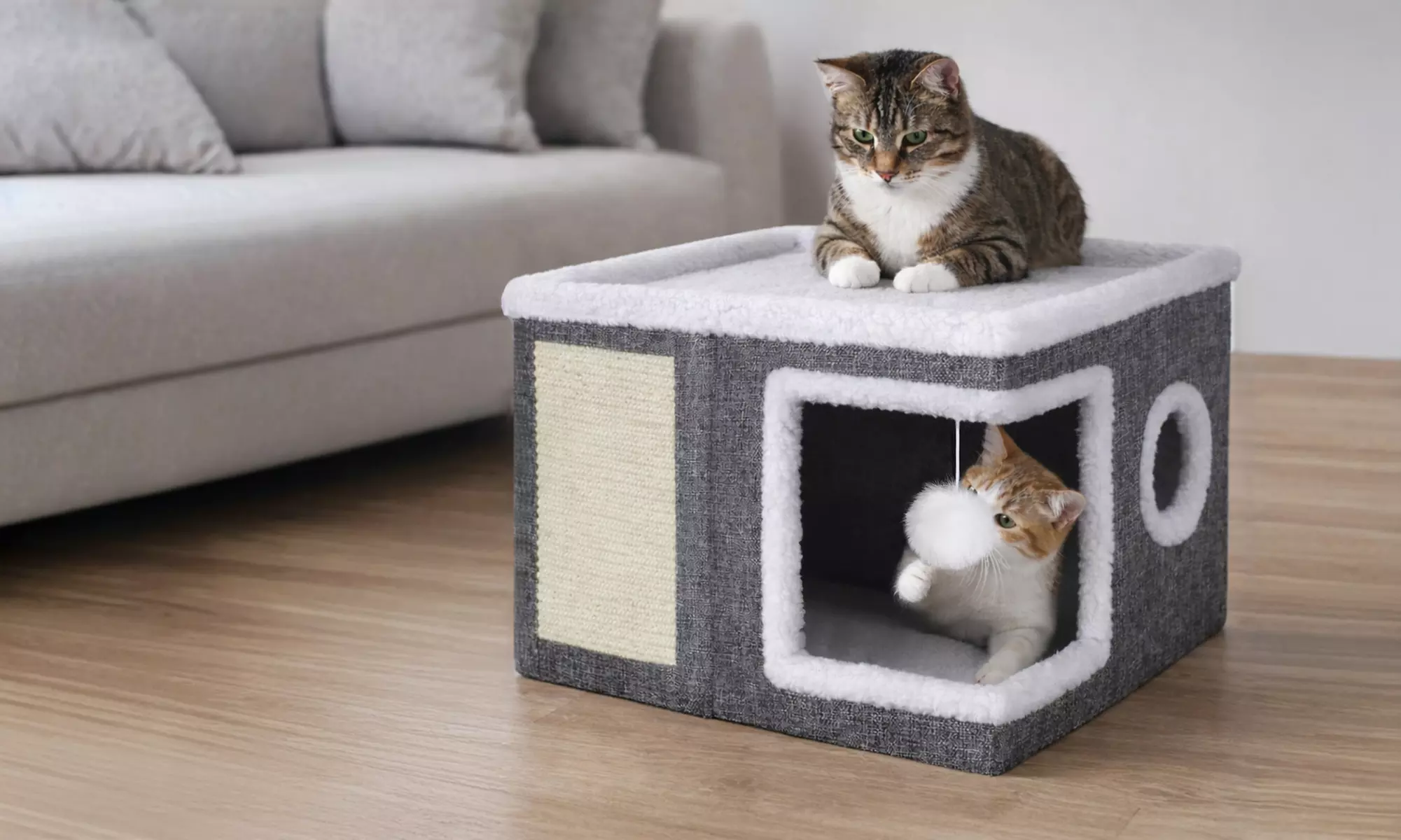 Skylos Indoor Cat House Cave with Scratch Pad and Hanging Toy