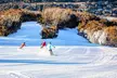 Canberra to Perisher or Thredbo: One-Day Snow Trip with Transfers for One Person with Ozia Tours - Image 2