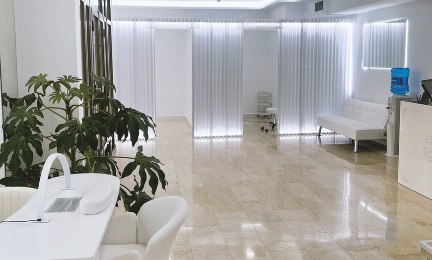 Image 8: Hasta 7 sesiones de depilación con láser SHR en una zona a elegir