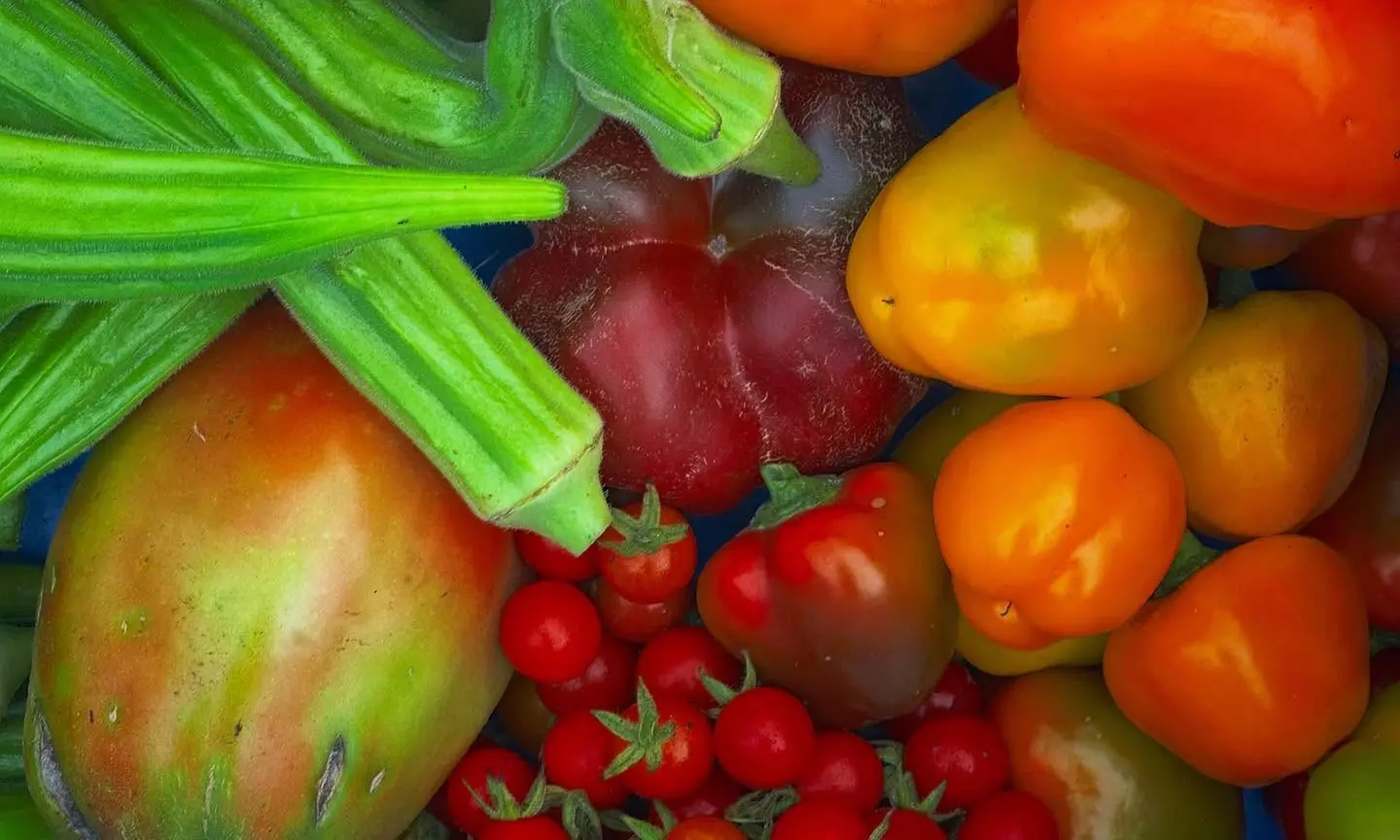 $100/$150 Worth of Farm Goods+Farm-to-Table Cookbook+1 Hr Private Tour