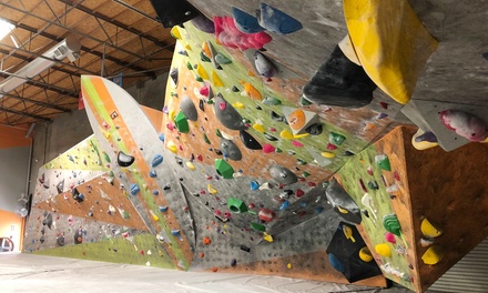 The Wall Climbing and Yoga - Intro to Bouldering Class + One Day Pass for One - The Wall Climbing And Yoga