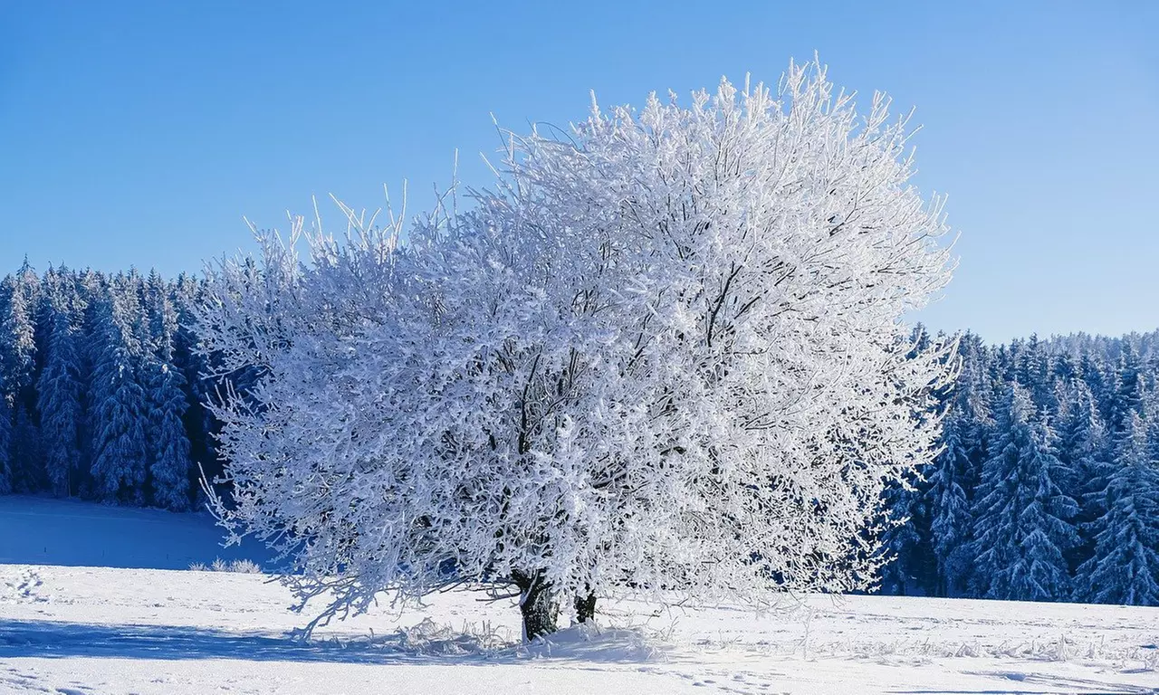Vulkaneifel: 2 Nächte im Doppelzimmer inkl. Frühstück & 4-Gang-Menü