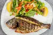 Up to 51% Off on Mediterranean Cuisine at Sultan Mediterranean Cuisine - Second Medium