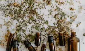 Training Station Offers a Deep Dive Into Essential Oils Fundamentals, Perfect For Beginners, Up To 58% Off