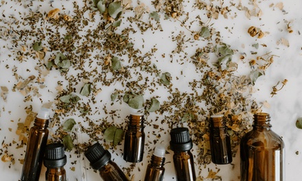 Essential Oils Demystified - Training Station