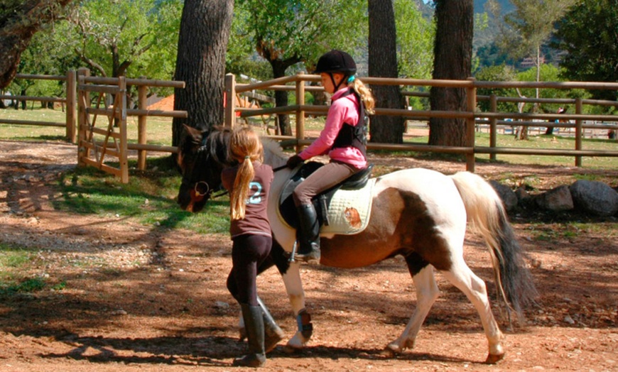 Image 3: Paseo a caballo y visita a finca mallorquina para 1 o 2 personas