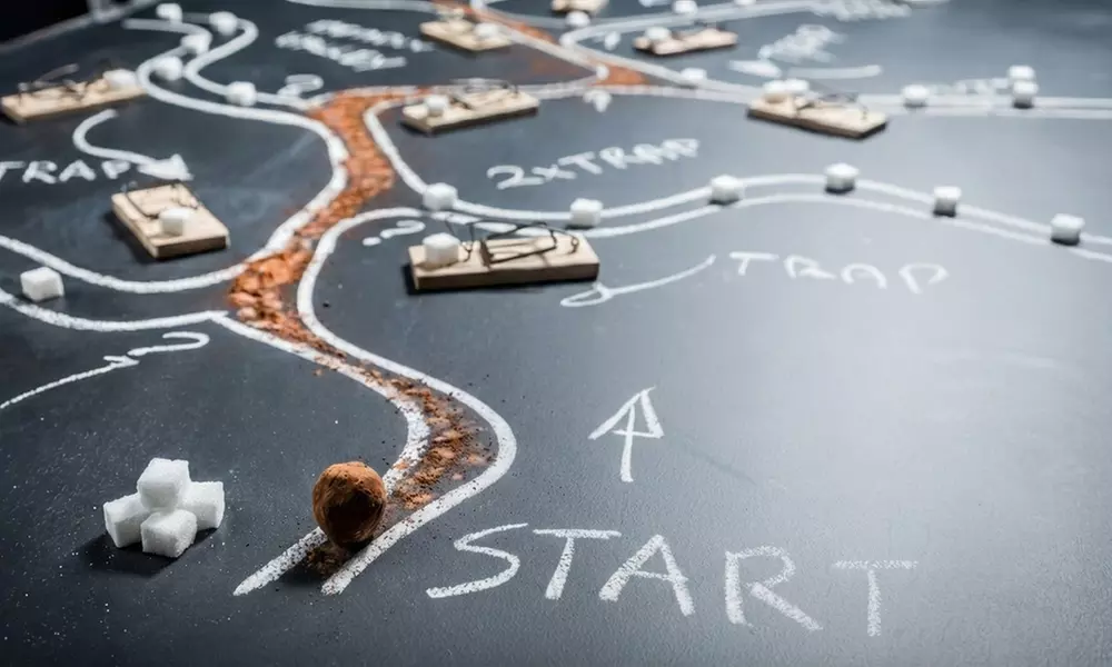 Launch Your E-commerce Business: Legal, Brand, Analytics & More