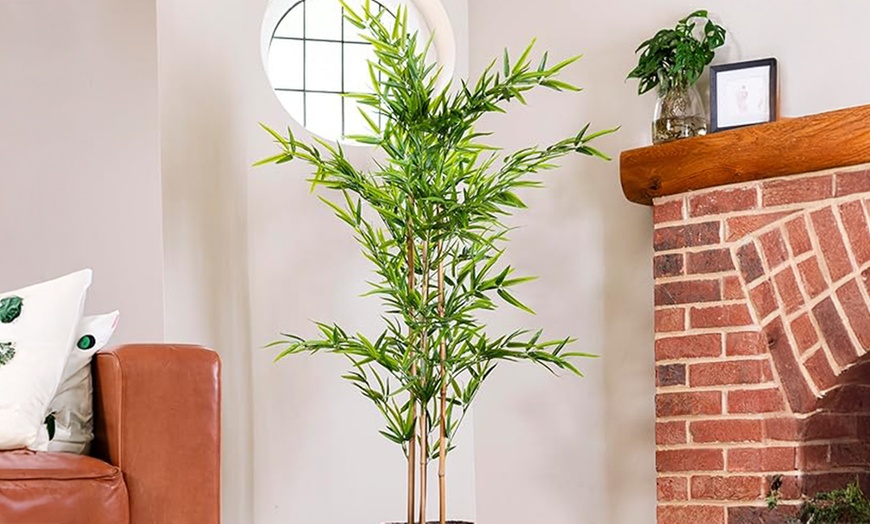 Image 23: Artificial Plants and Trees - Bamboo, Ficus, Olive and Palm