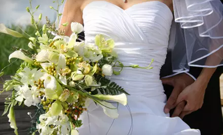 Chemical Free Bridal-Gown Cleaning & Optional Preservation The Wedding Gallery & Bridal Plus Boutique (Up to 60% Off) - Primary Image