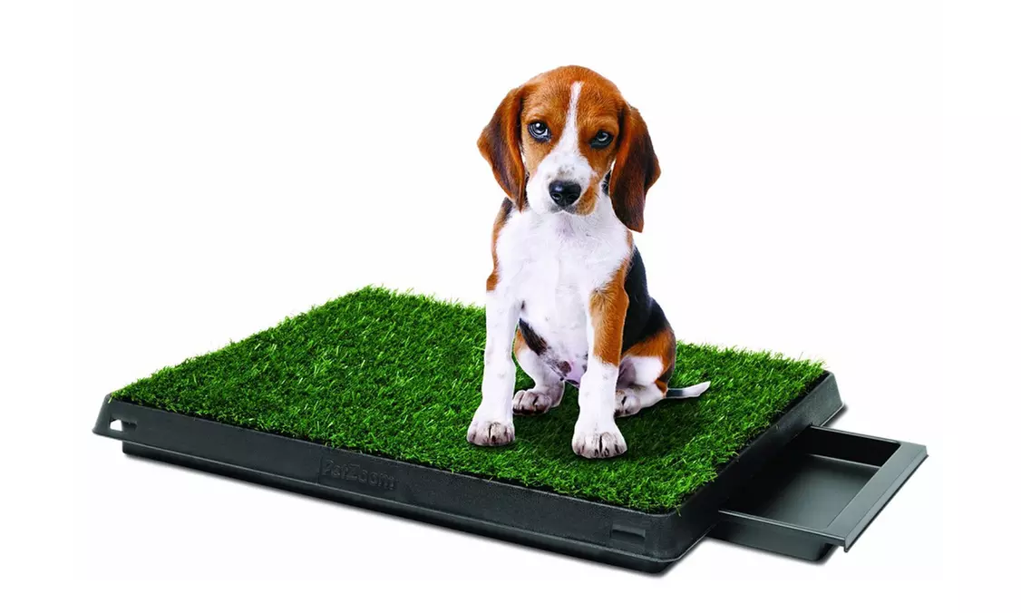 Pet Zoom Pet Park Deluxe Dog Relief System (3-Piece) - Primary Image