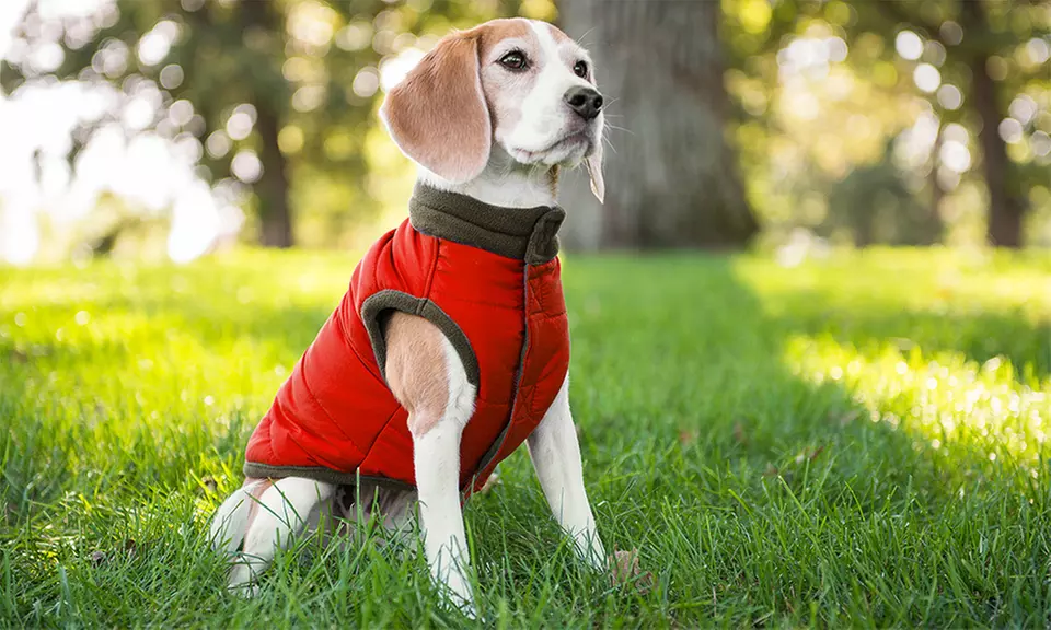 Eddie Bauer Puffer Dog Vest with Fleece Lining - Primary Image