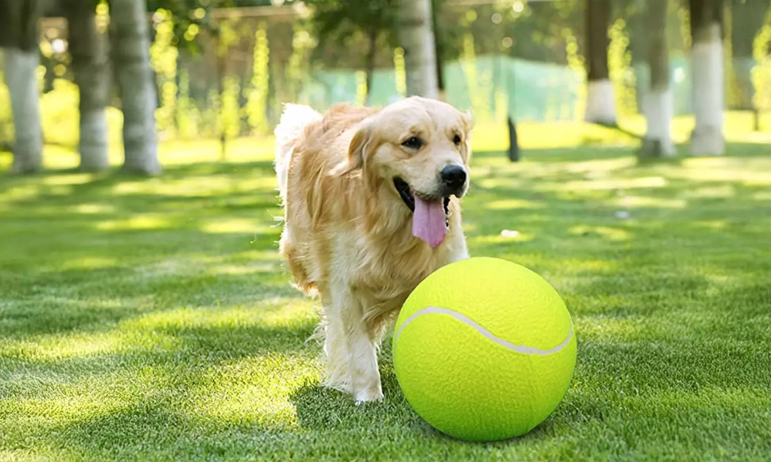 Up To 58% Off on Waloo Pets Giant Tennis Ball ... | Groupon Goods