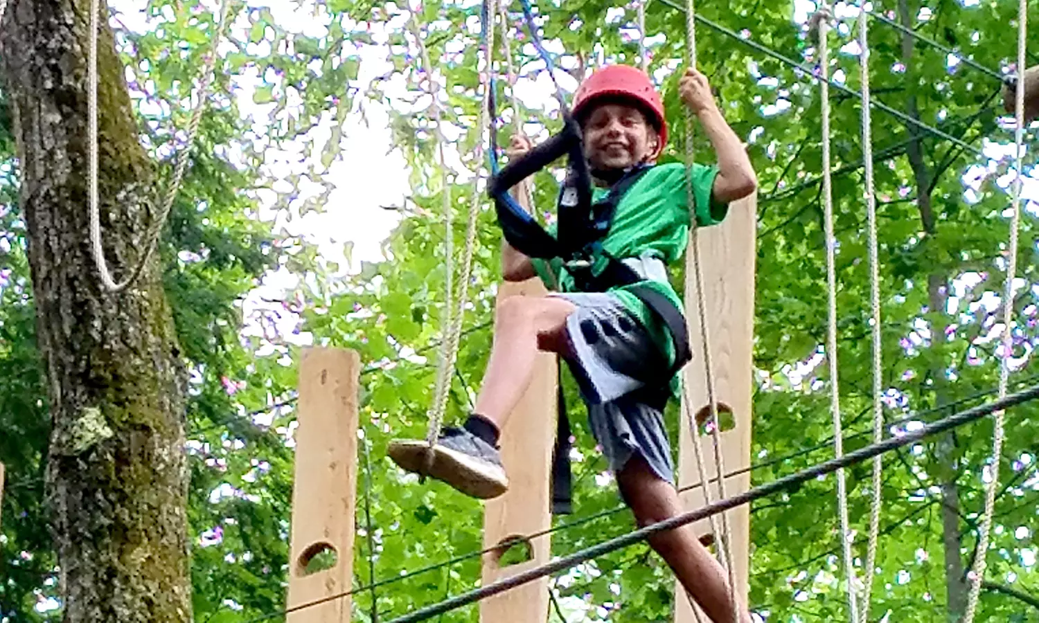 Aerial TreeTop (High Ropes) Adventure for 1 Child or Adult this Summer