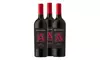 Discover Wine on Sale's Apothic Red Blends with up to 36% off, featuring diverse bottle options for all tastes.