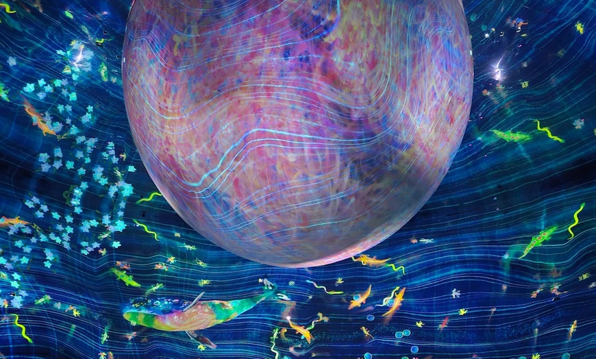Image 9: Explore TeamLab Phenomena General Admission for Adults and Youths