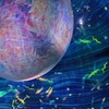 Image 9: Explore TeamLab Phenomena General Admission for Adults and Youths