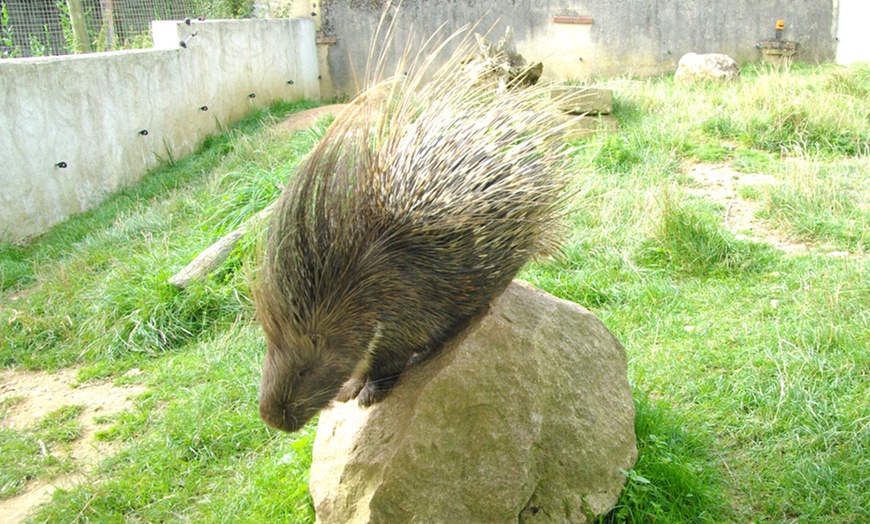 Image 4: Une journée au Zoo Parc de Renou