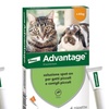 Image 1: Antiparassitario Spot-on per gatti e conigli Advantage