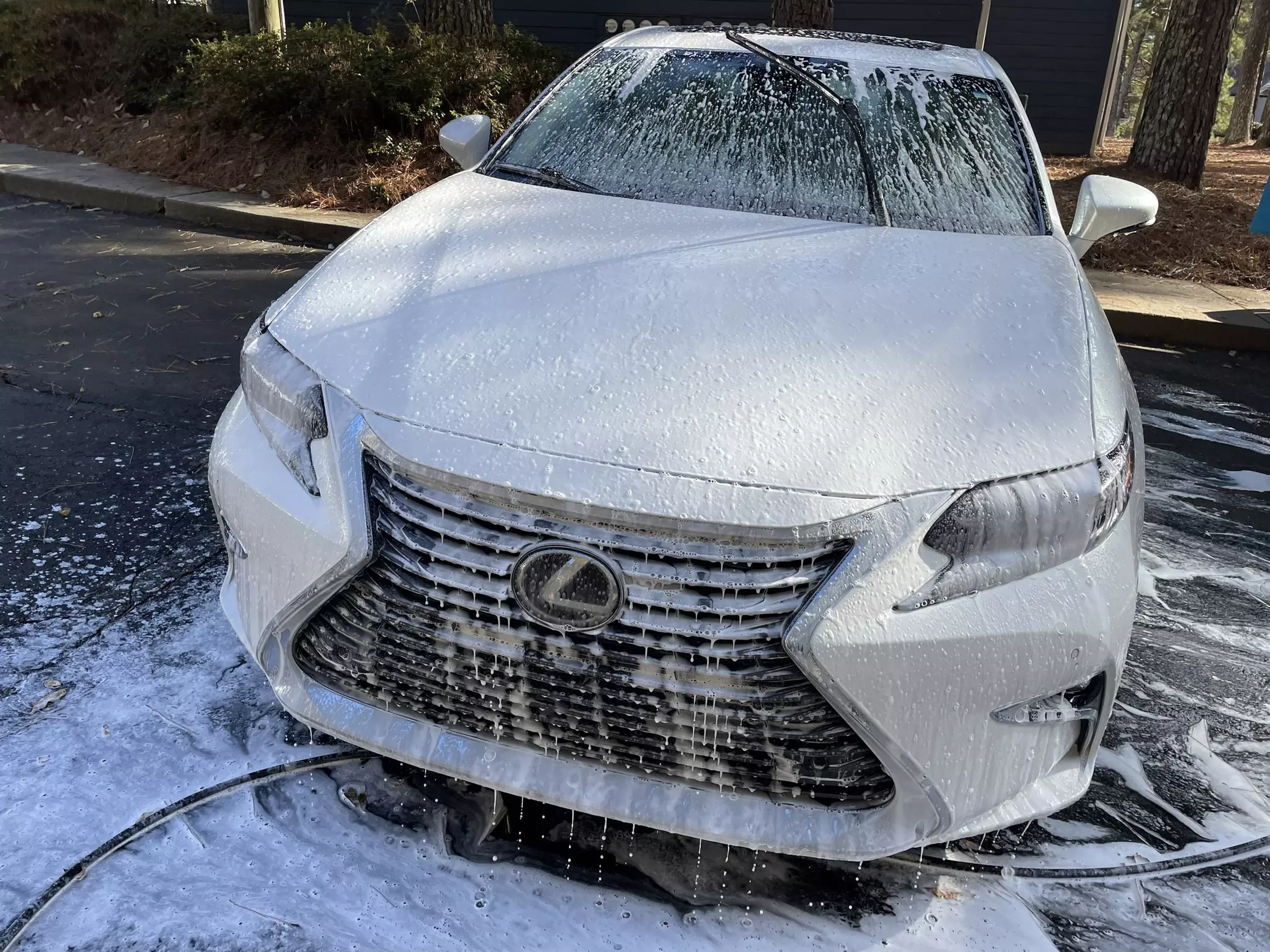 Choose From Bronze to Platinum Car Detailing Options