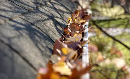 $59 for Gutter Cleaning from The Sod Father ($150 Value) - Primary Image
