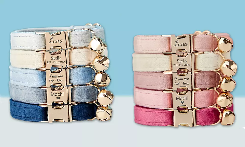 Grab paw-some Custom Pet Collars for your furry buddies