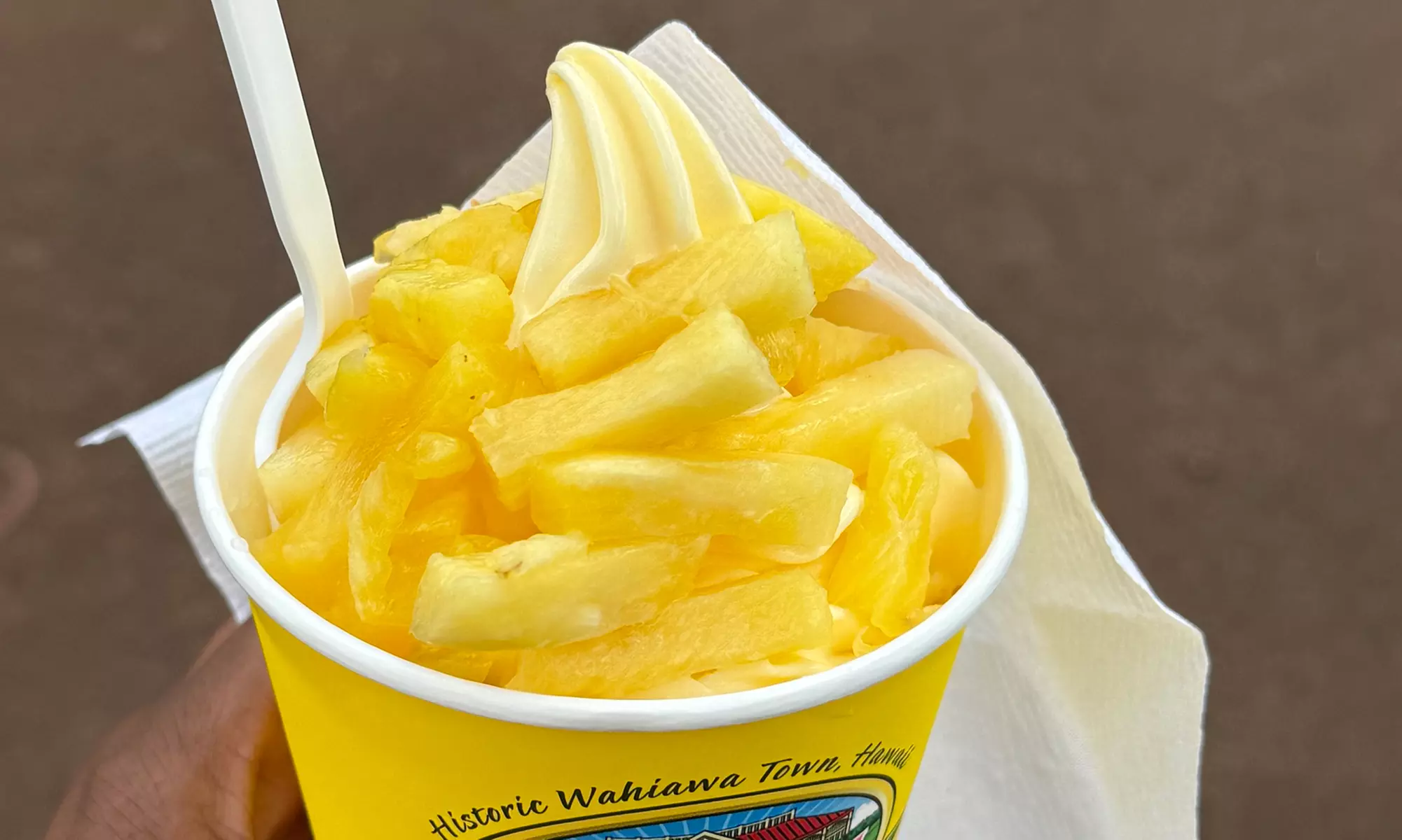 Oahu Full-Day Circle Island Tour - Small Group, No Crowds