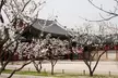 South Korea: 12-Day Journey with Air & Hotel - Second Medium