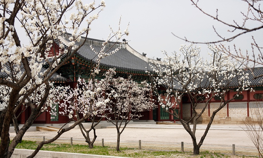 Image 5: South Korea: 12-Day Journey with Air & Hotel