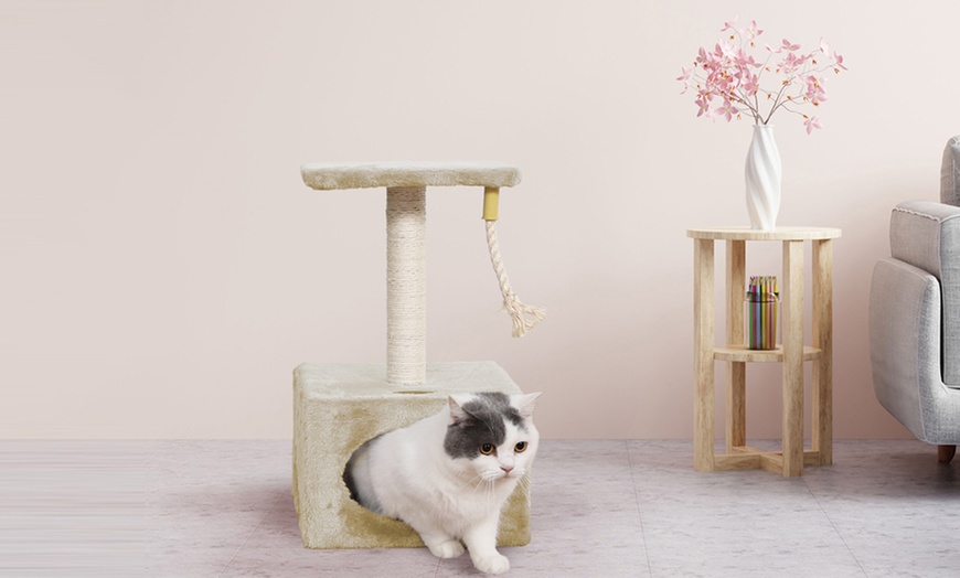 Image 29: Griffoir pour chat