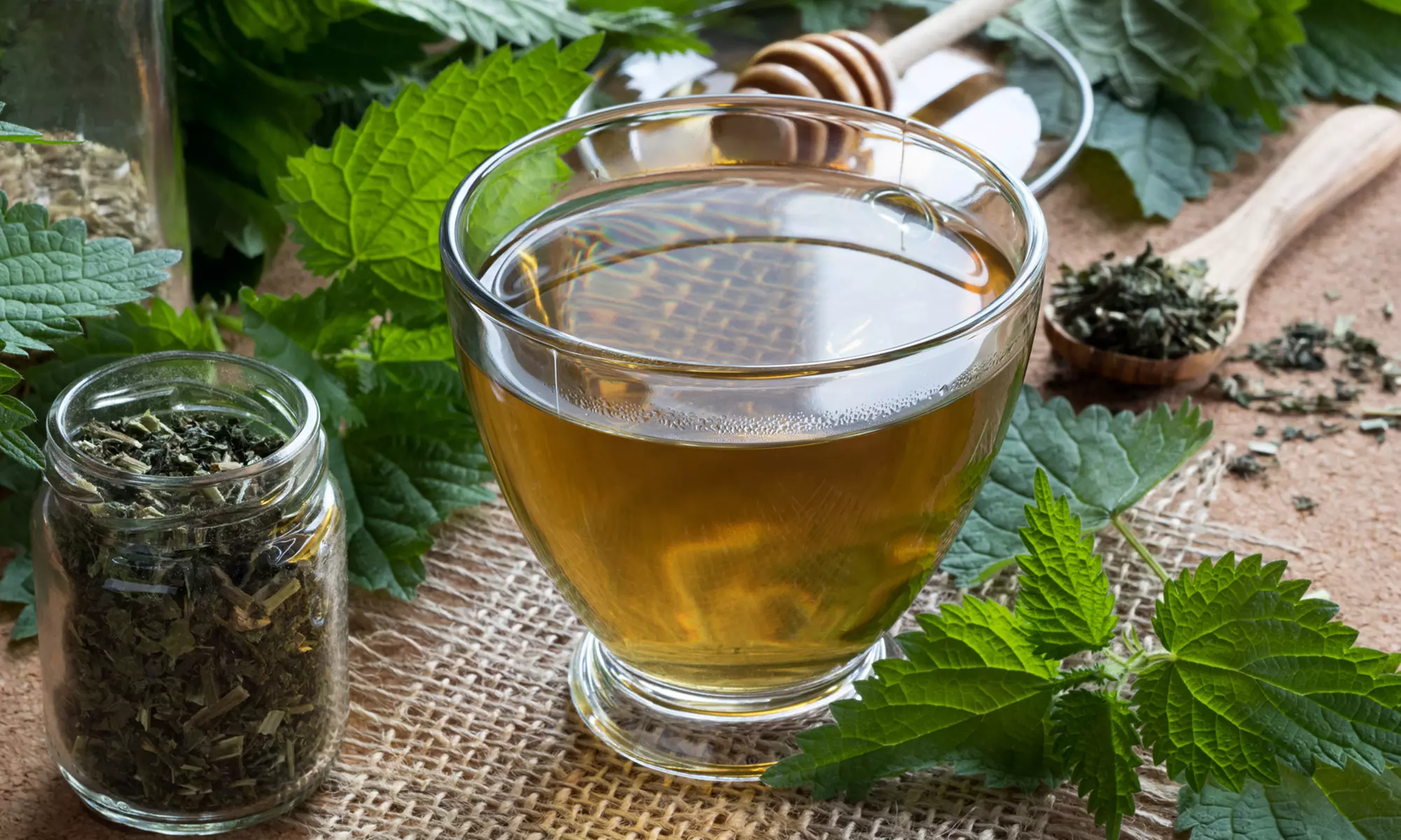 Save 91% on Accredited Home Brewing Beer Online Course including Proof of Completion from International Open Academy! - Image 4