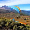 Image 4: Vuelo estándar o acrobático en parapente con video del despegue 