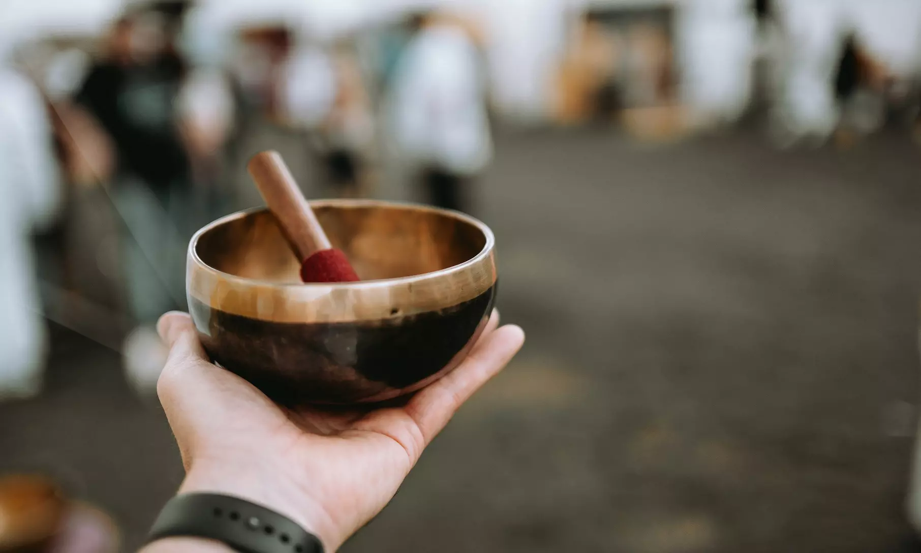 Tages-Ticket für Lebensfreude Messe von Februar bis November