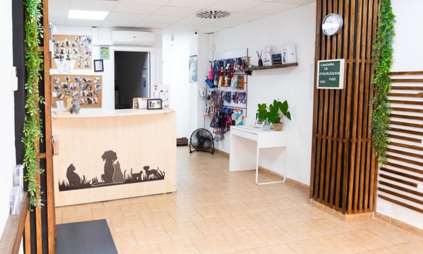 Image 5: Sesión de peluquería canina para perros de hasta 6, 15 o 30 kg