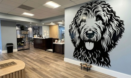 Veterinary Exam with a Bath & Brush- Small dog up to 25 pounds - Paws Veterinary Center