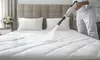 Upholstery & Mattress Refresh – Twin Bed and Cushion Care by Steam Master Pros Carpet Cleaning (Up to 62% Off)