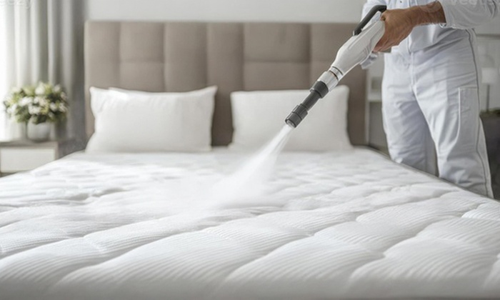 Upholstery & Mattress Refresh – Twin Bed and Cushion Care