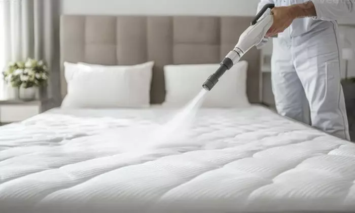 Upholstery & Mattress Refresh – Twin Bed and Cushion Care by Steam Master Pros Carpet Cleaning (Up to 62% Off) - Primary Image