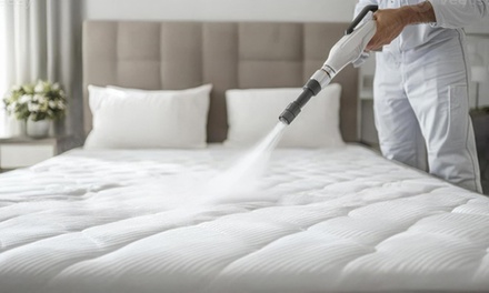 Upholstery Cleaning for a Chair Cushion - Steam Master Pros Carpet Cleaning