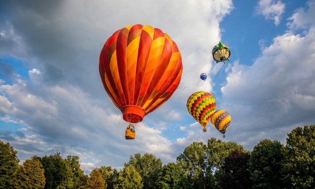 What to expect media