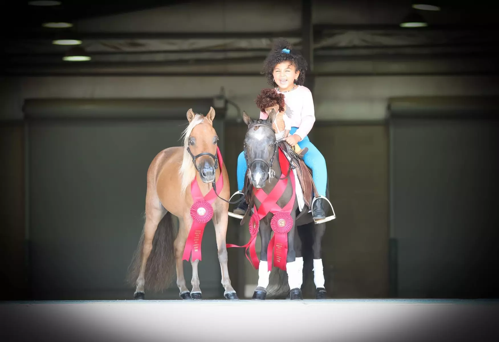 Horseback Riding Lessons Single, Two, or Three Session Options