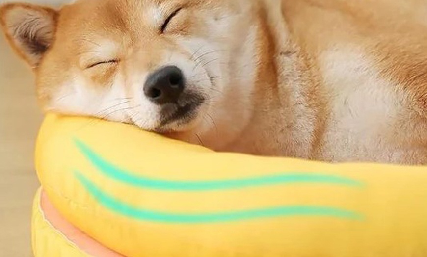 Image 5: Breathable Slide and Scratch-Resistant Cooling Mat for Cat or Dog 