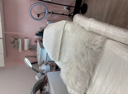 One Session Eyebrow Tinting  + One Eyebrow Waxing  + Brow Lamination - Nefertiti spa