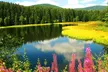 Schluchsee im Schwarzwald: 3, 4 o. 6 Tage für 2 mit Frühstück & Hochschwarzwald-Karte im Wochners Hotel Sternen - Second Medium