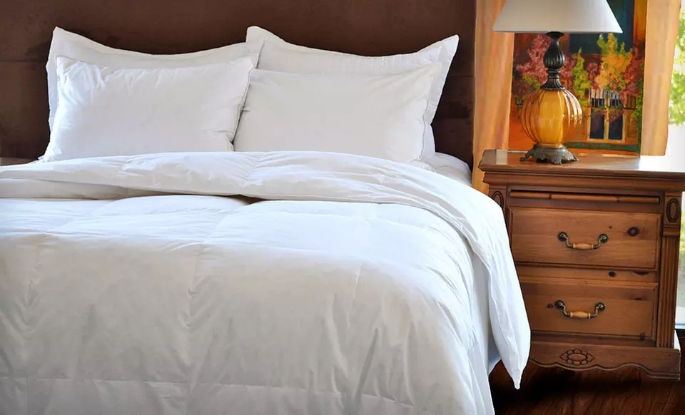 Natural Comfort Down or Down-Alternative Comforters (Up to 66% Off). Six Options Available. Free Shipping and Returns. - Primary Image