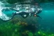 Up to 36% Off on Spearfishing at Just Get Wet
 - Second Medium