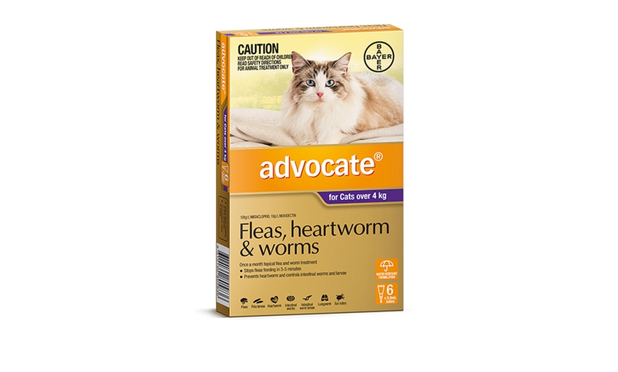 Image 5: Advocate 6-Pack Flea Treatment