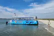 Dolphin and Island Tour for One Adult or Child at Uncharted Waters Dolphin and Fishing Charters (Up to 20% Off) - Second Medium