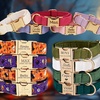 Image 1: Personalisierbares Haustier-Halsband im Halloween-Design