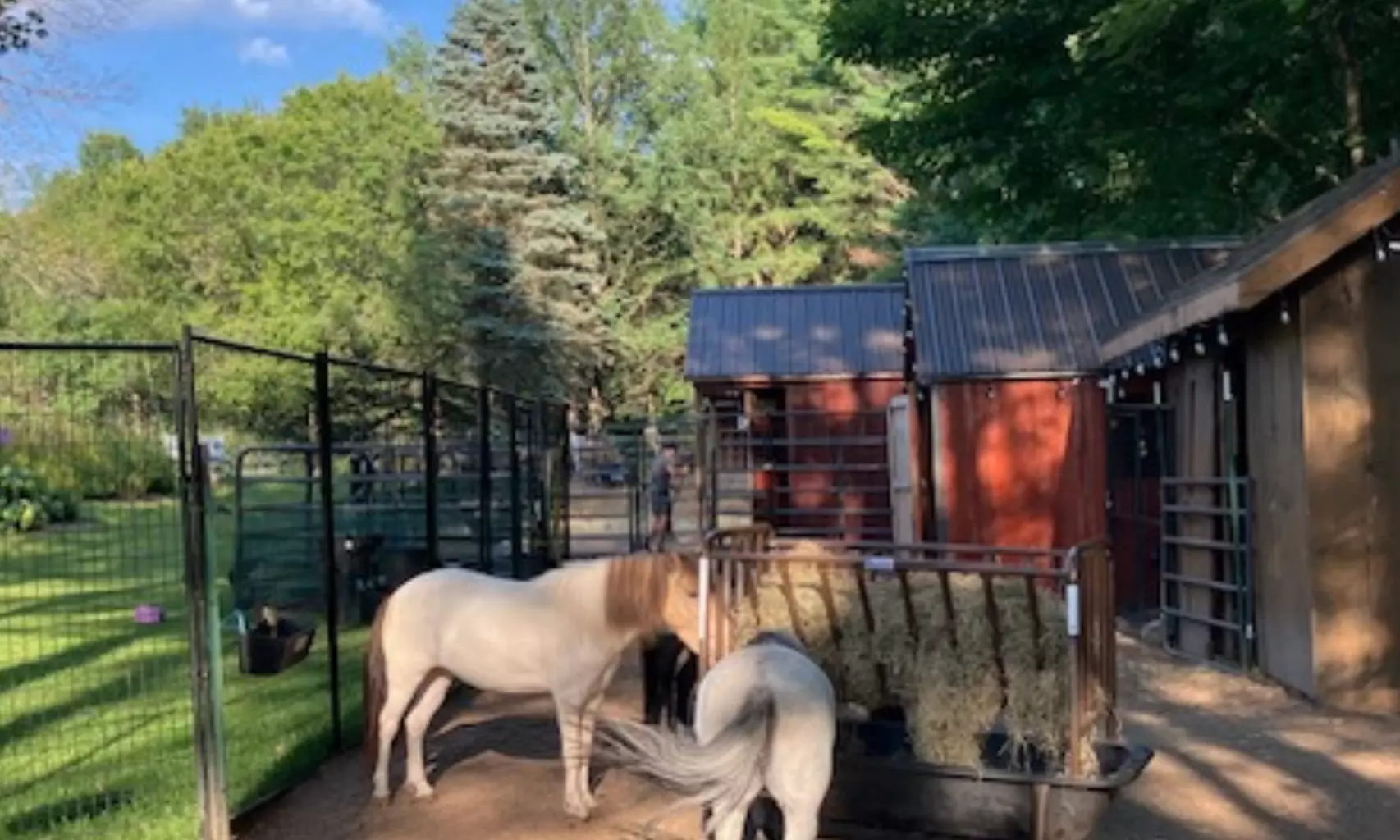 Experience One Hour Petting Animals & Farm Tour for One, Two, or Four