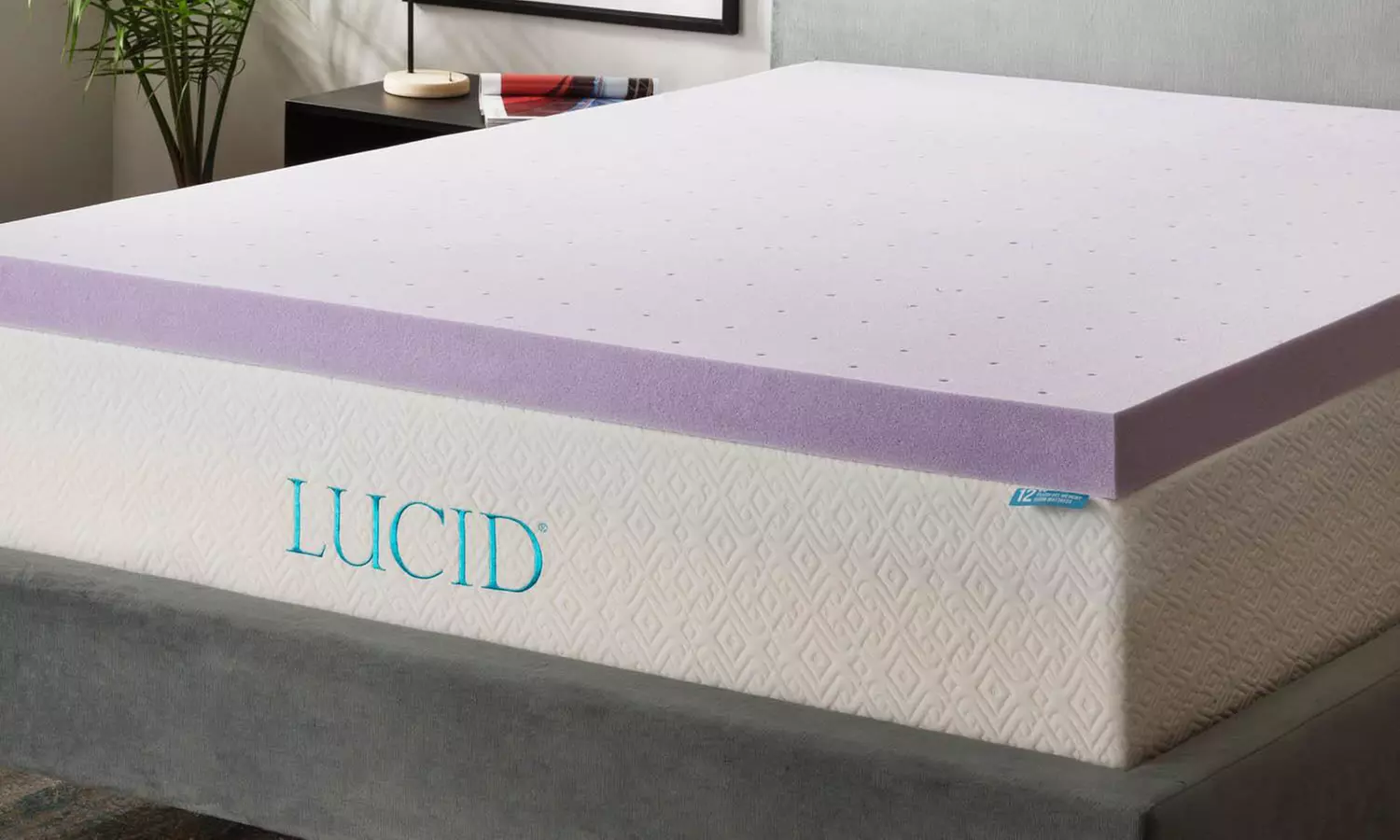 Lucid 3" Ventilated Lavender-Infused Memory Foam Mattress Topper - Primary Image